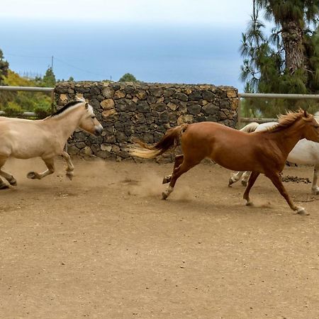 Riendas Vivas La Guancha Екстериор снимка