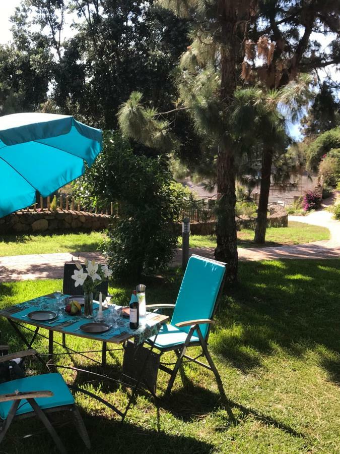 Riendas Vivas La Guancha Екстериор снимка